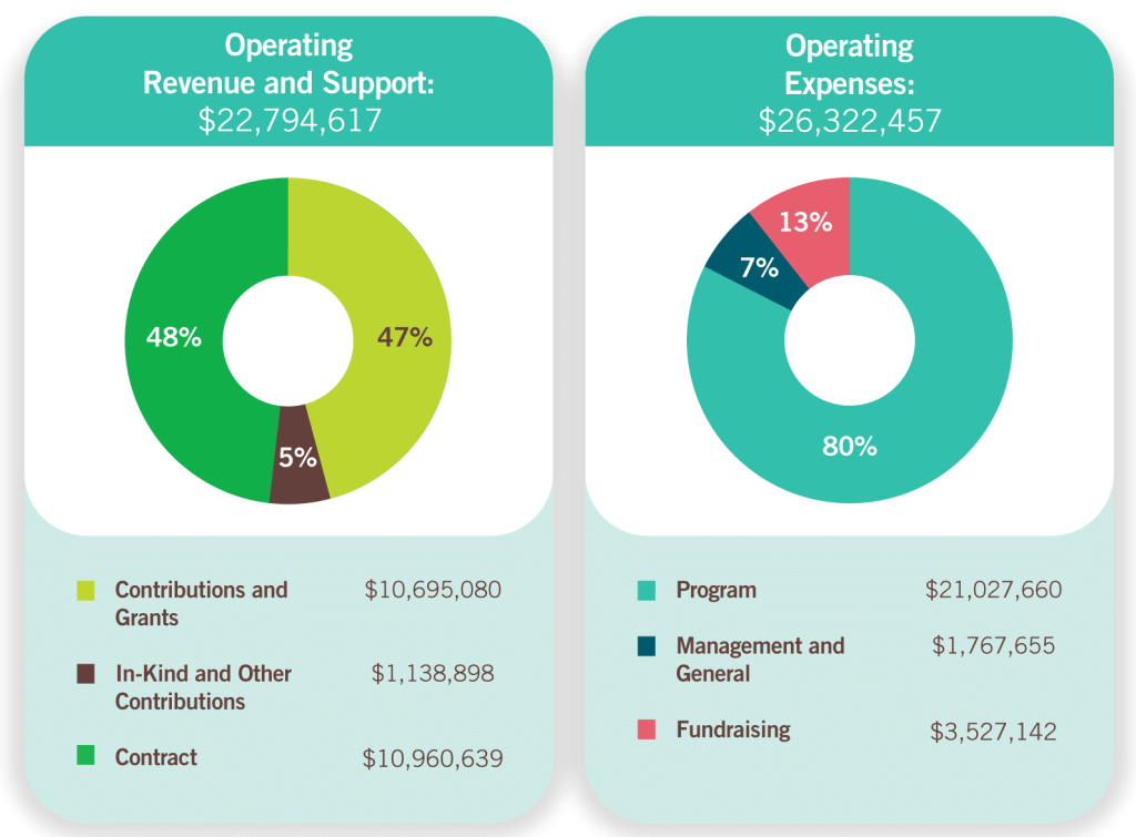Fiscal Year 2024 financials graphic