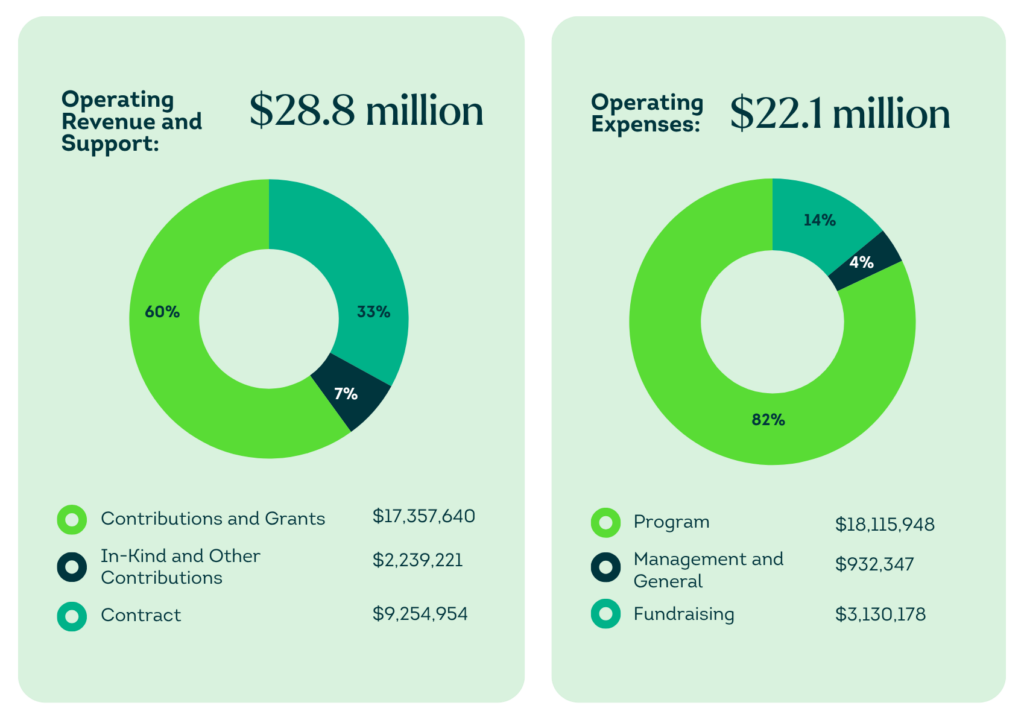 FY 2025 Financial Graphic